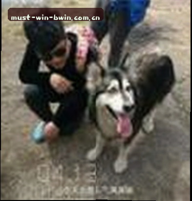吴芳